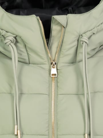 Sublevel Winter Jacket in Green