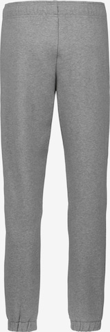 Tapered Pantaloni 'Mapleton' di DICKIES in grigio