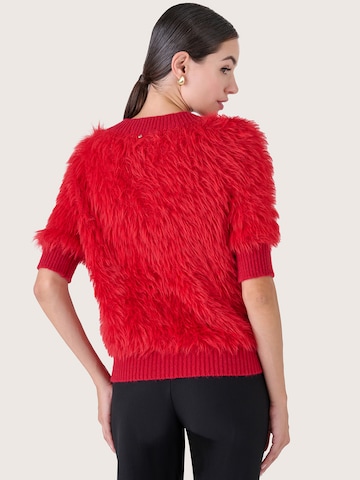 Camomilla Italia Pullover in Rot