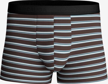 CALIDA Boxershorts 'Focus Trend' in Braun: Vorderseite