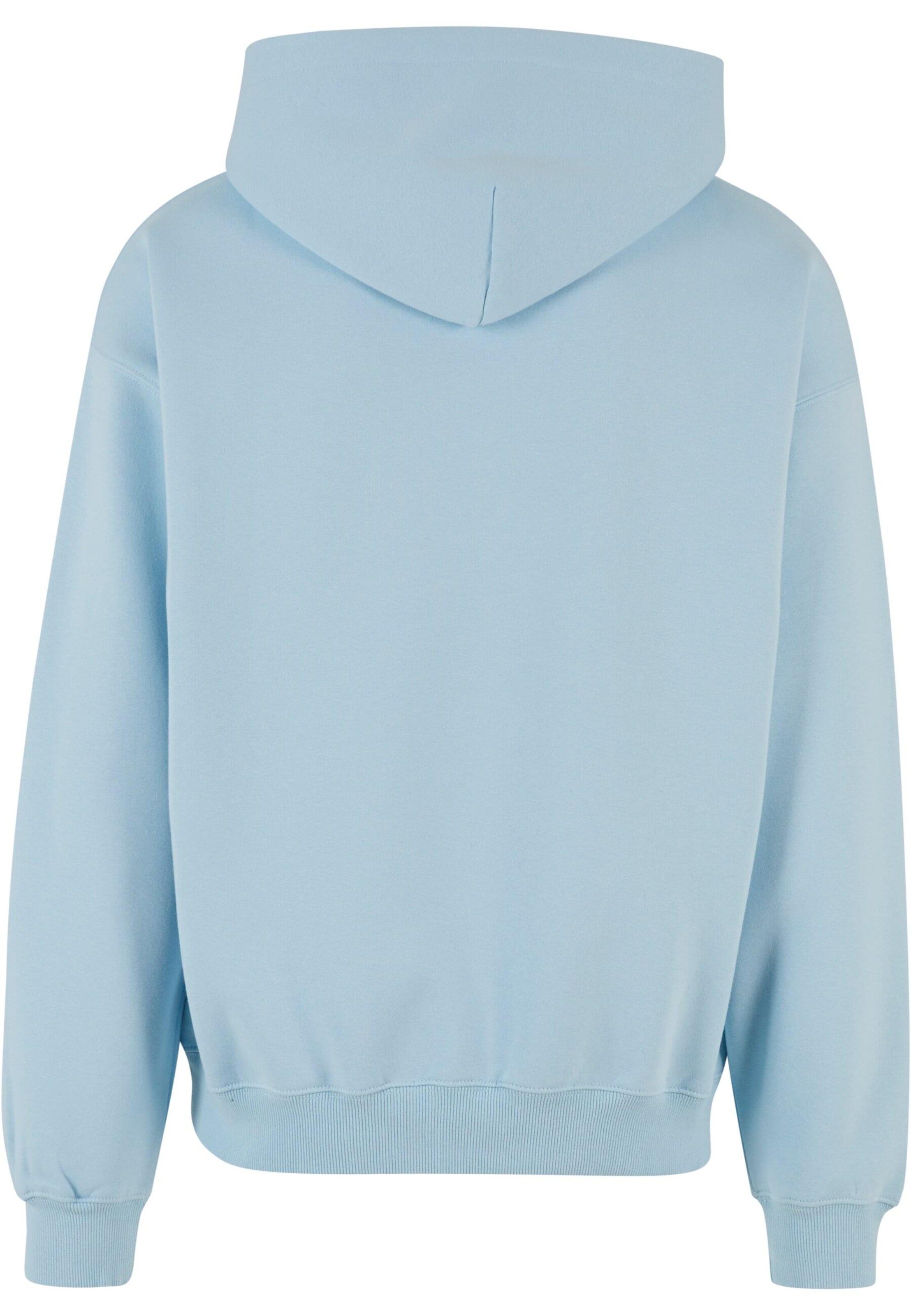 2Y Studios Μπλούζα φούτερ σε μπλε