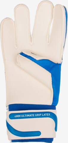 PUMA Sporthandschuhe 'Ultra Pro' in Blau