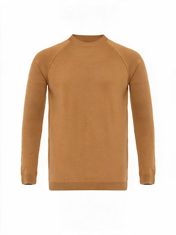 Pullover di Antioch in marrone: frontale
