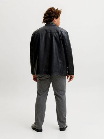 Regular Pantalon chino JACK & JONES en gris