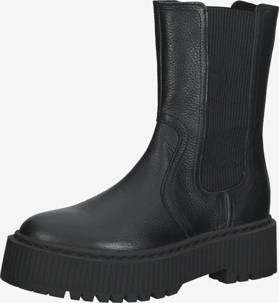 STEVE MADDEN Čizme u crna, Pregled proizvoda