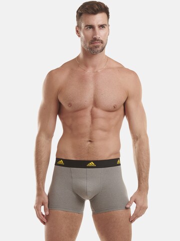 ADIDAS SPORTSWEAR Athletic Underwear in Grey: front