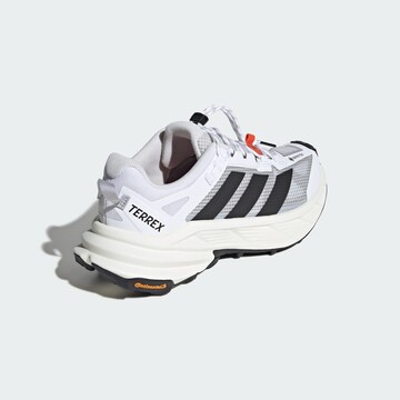 ADIDAS TERREX Полуботинки 'Freehiker SL' в Белый