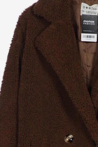 Degree Jacket & Coat in M in Brown
