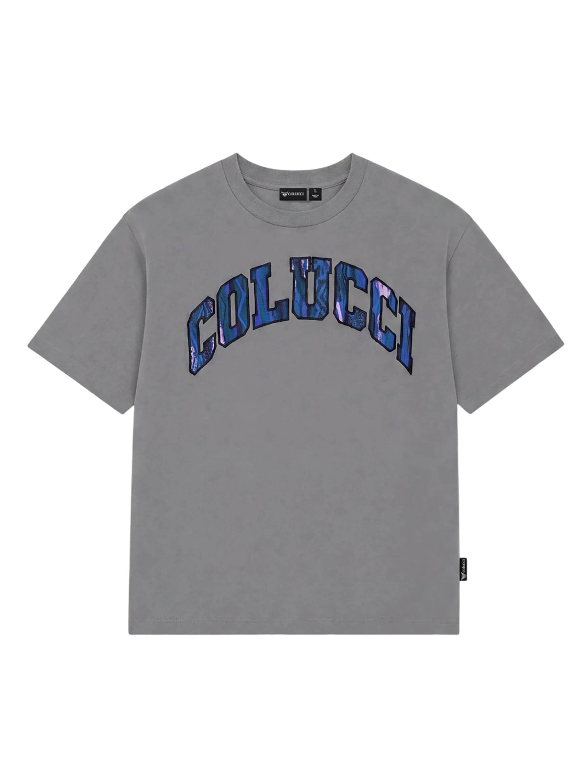 Colucci Shirt 'College Logo' in Grey: front