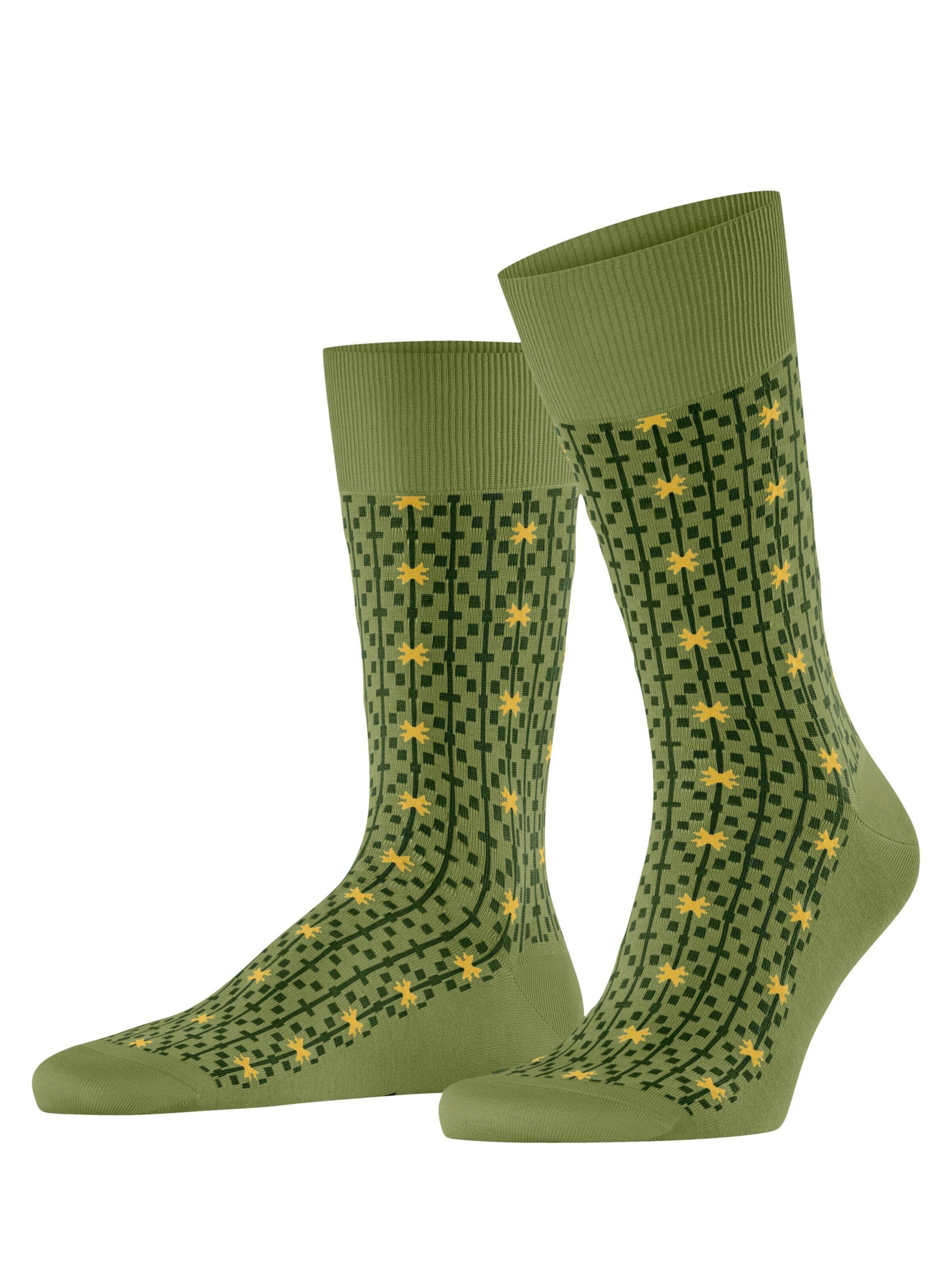 FALKE Socken 'Sun Touch'‌‌‌‌‌‌‌‌‌‌ in Grün: Vorderseite