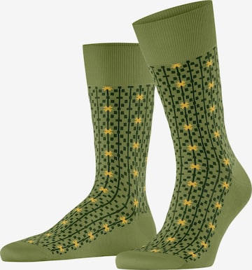 FALKE Socken 'Sun Touch' in Grün: Vorderseite