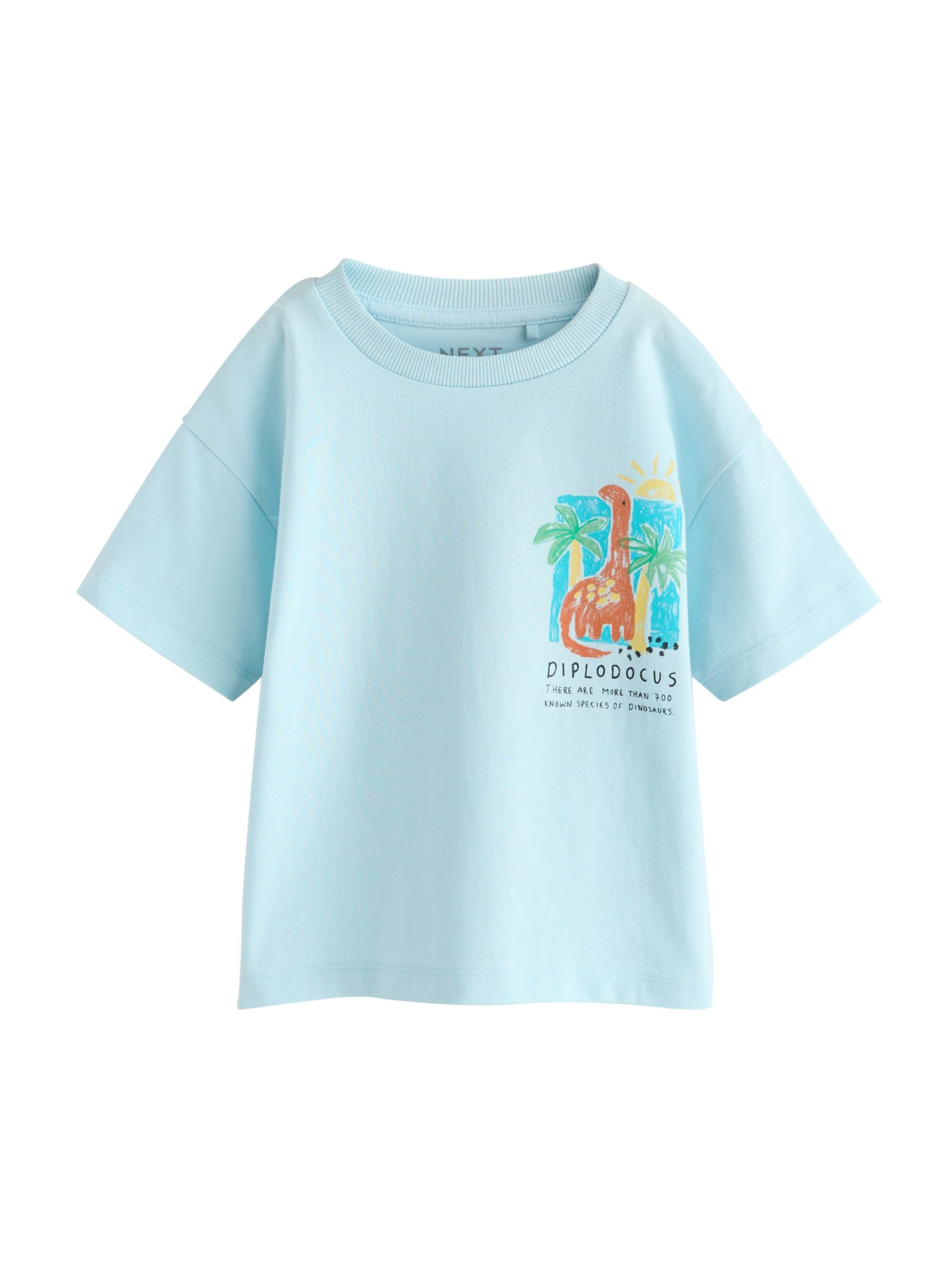 Next Shirt in Blue: front