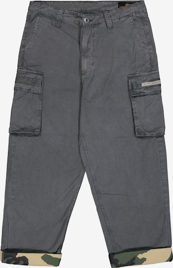 ALPHA INDUSTRIES Cargo hlače u tamo siva, Pregled proizvoda