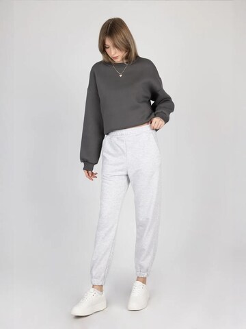 Regular Pantalon Hiccup en gris