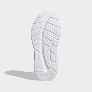 ADIDAS SPORTSWEAR Σνίκερ σε ροζ
