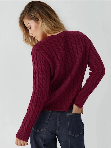 Pullover di Hiccup in rosso