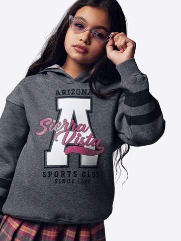 Solang Sweatshirt in Grey