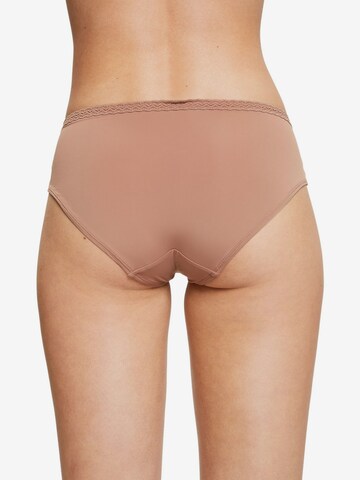 ESPRIT Panty in Beige