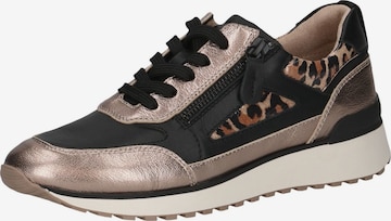 Sneaker bassa di CAPRICE in beige: frontale