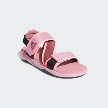 Sandales 'Sumra' ADIDAS TERREX en rose