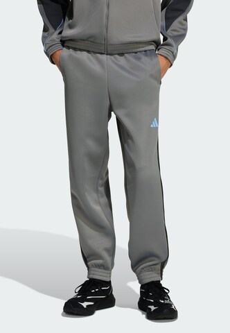 Pantaloni 'Stadium' di ADIDAS SPORTSWEAR in grigio: frontale