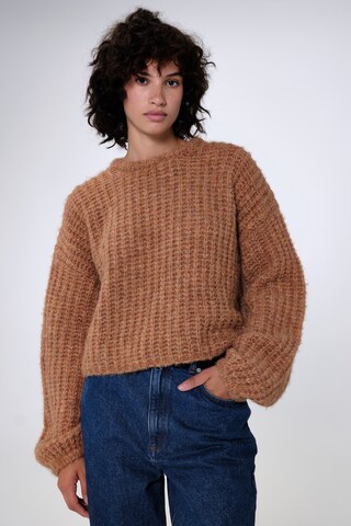 Aligne Pullover 'Guan' in Braun