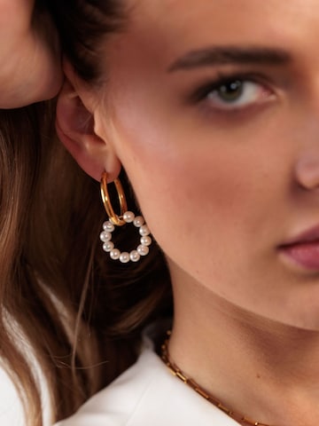 PURELEI Earrings 'Honu' in Gold: front