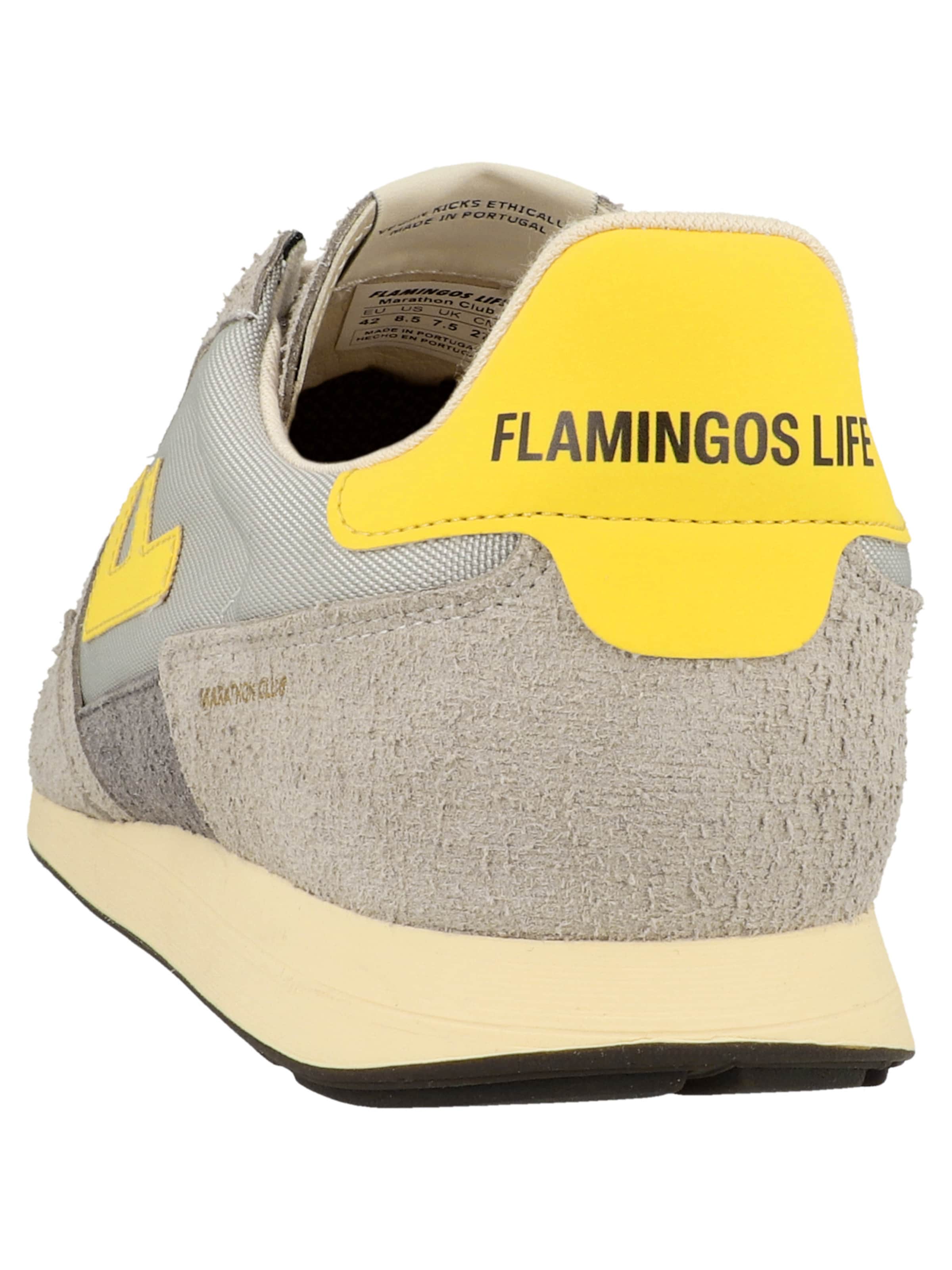 Flamingos' Life - Zapatillas deportivas bajas 'Marathon Club' en gris