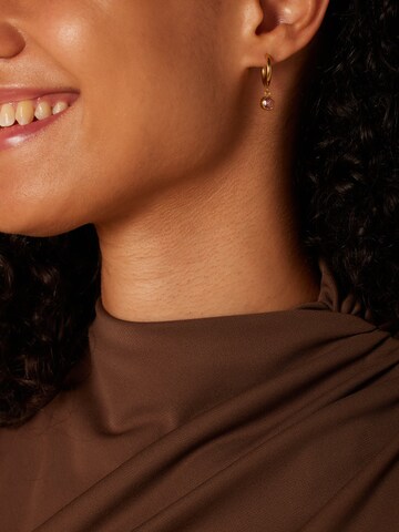 Lucardi Earrings 'Set' in Gold