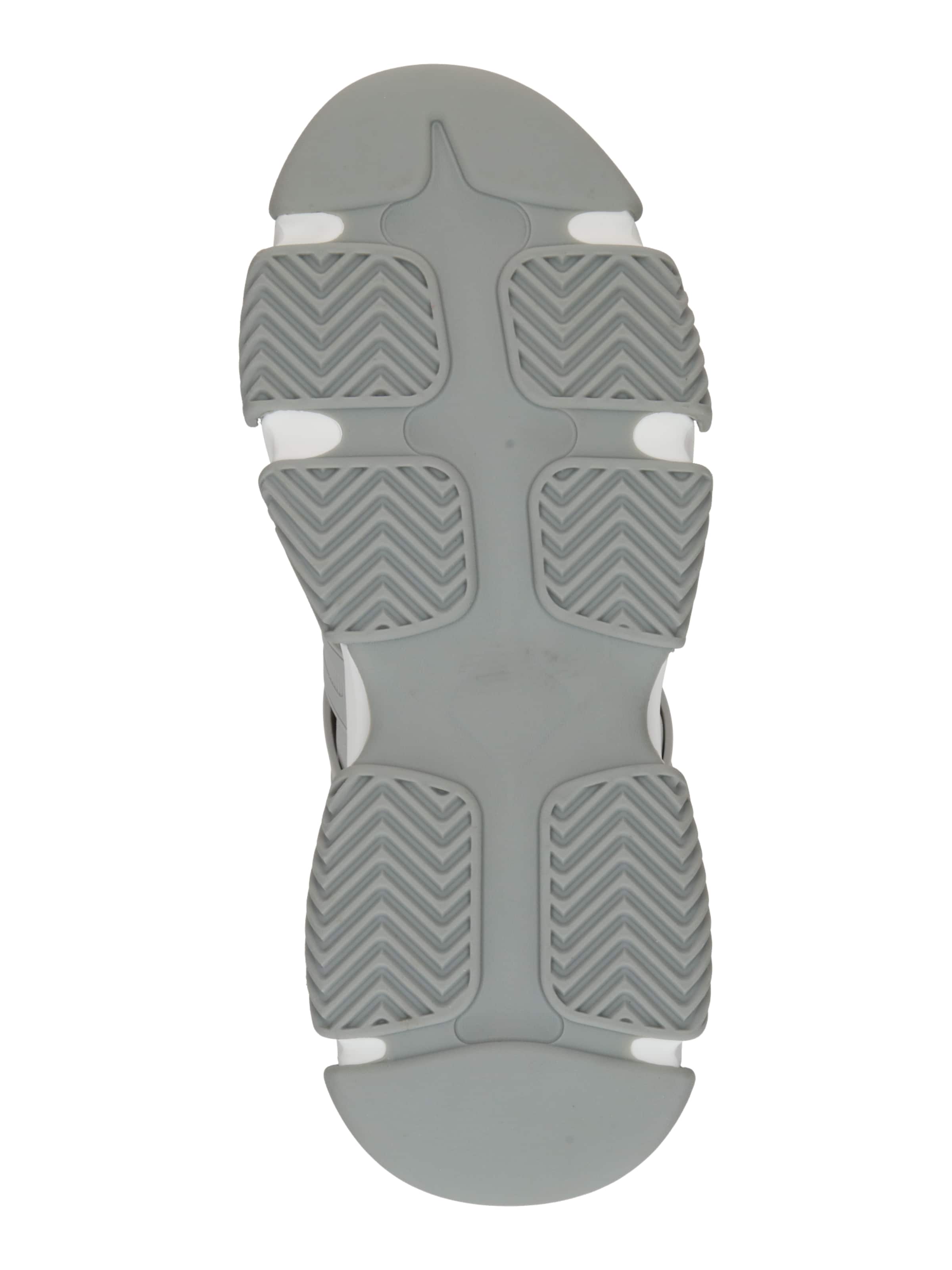 STEVE MADDEN Nízke tenisky 'Peckman' - Sivá