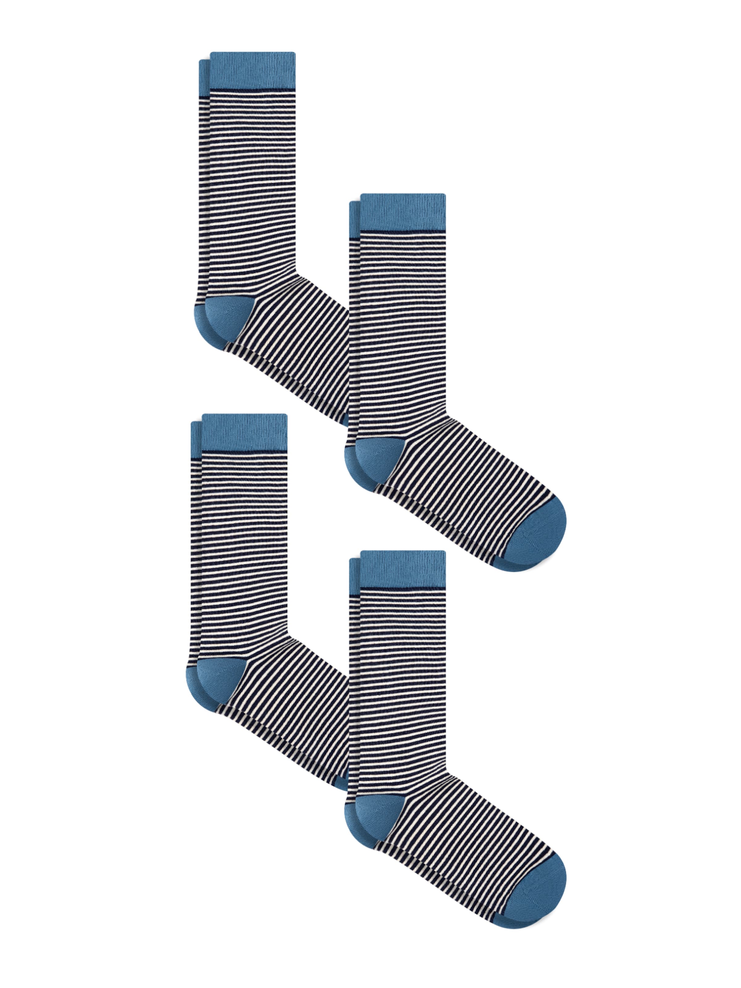 Albero Natur Socks 'Classic' in Blue: front