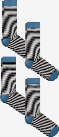 Albero Natur Socks 'Classic' in Blue: front