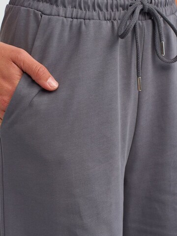 Dilvin Wide leg Pants 'Hose' in Grey