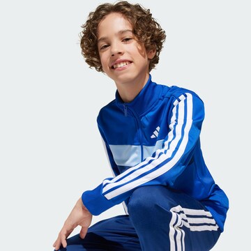 ADIDAS SPORTSWEAR Тренировочный костюм 'Seasonal Essentials Tiberio' в Синий