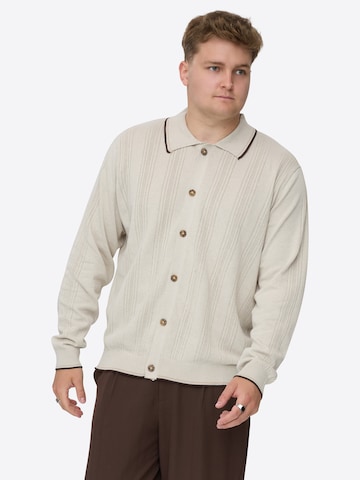 Dxnmxrk Trui 'DXFadua' in Grijs: voorkant