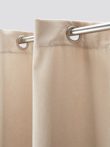 TOM TAILOR Curtains & Drapes in Beige