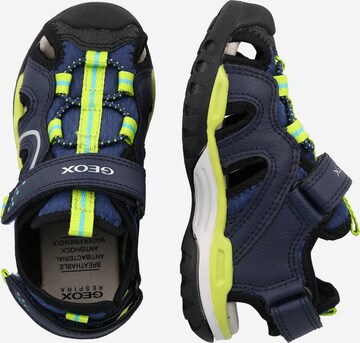 GEOX Open schoenen 'Borealis' in Blauw