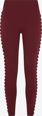 Ted Baker Leggings in Rood: voorkant