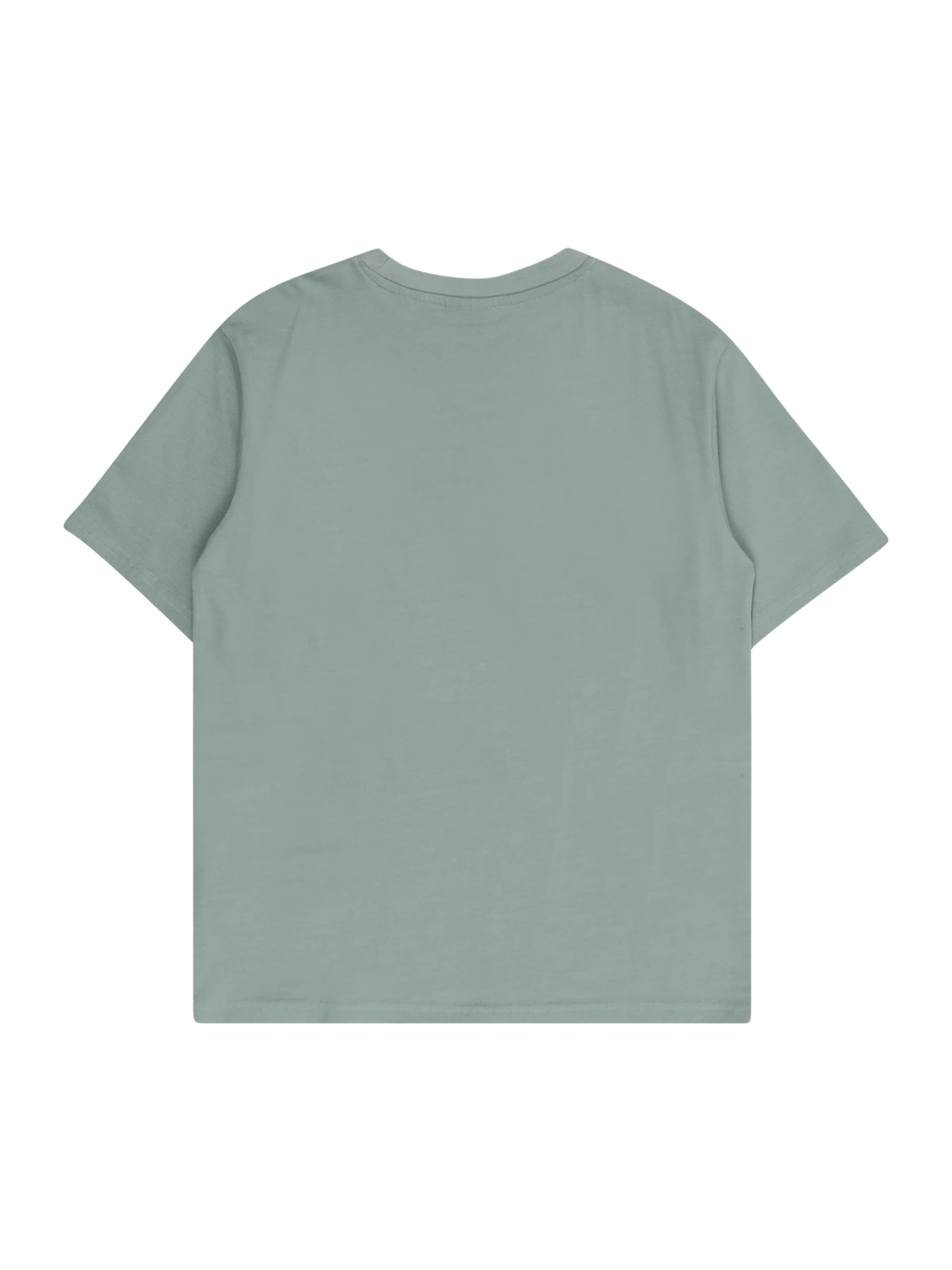 Only & Sons Junior Shirts 'OSJFRED' i grøn