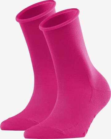 Calzino di FALKE in rosa: frontale