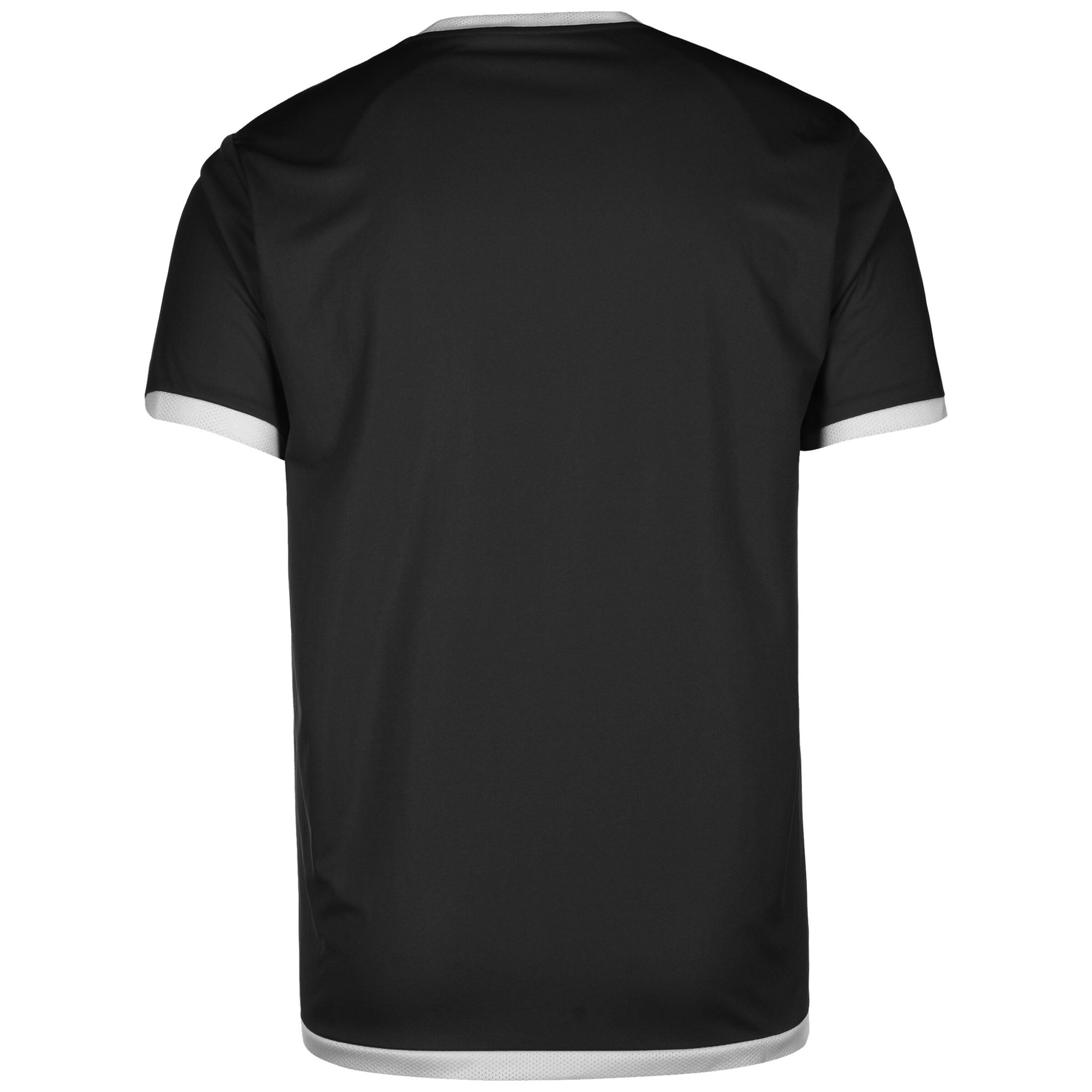 PUMA Funktionsshirt 'TeamLiga' in Schwarz