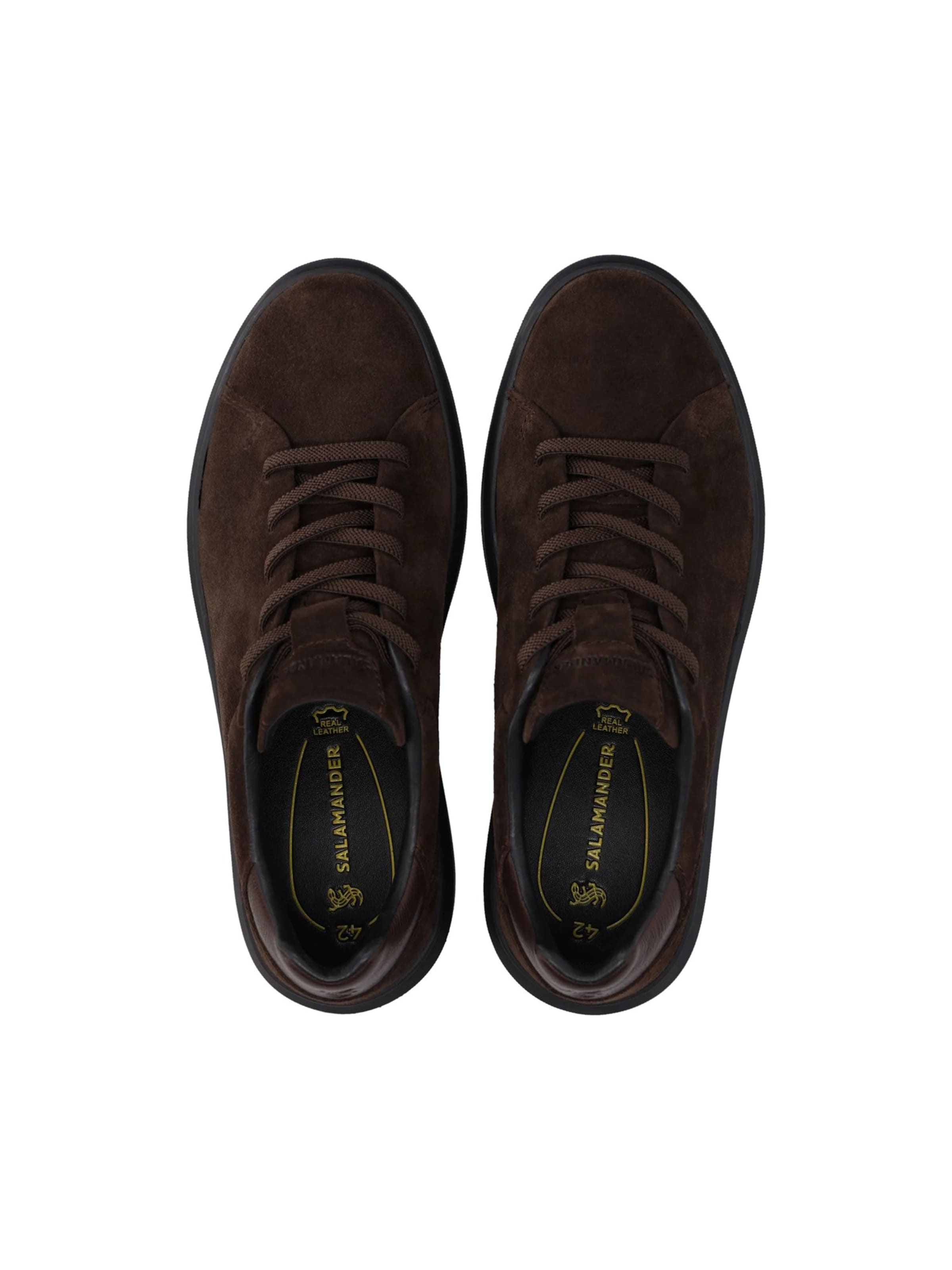SALAMANDER - Zapatillas deportivas bajas en marrón