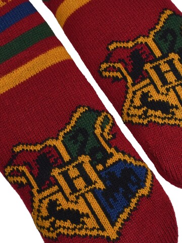 Harry Potter Socks 'Hogwarts' in Red