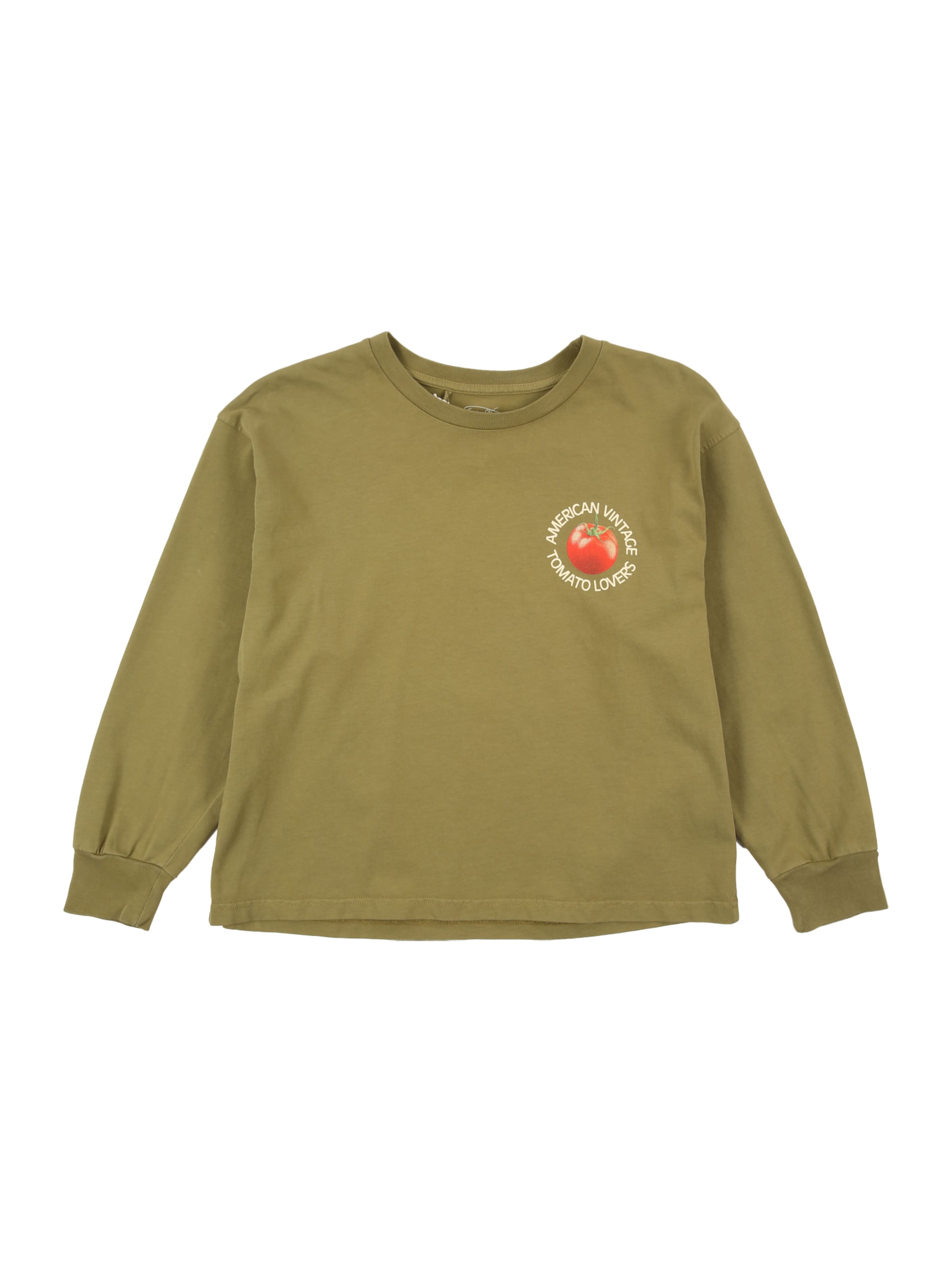 AMERICAN VINTAGE - Camisola 'FIZVALLEY' em verde: frente