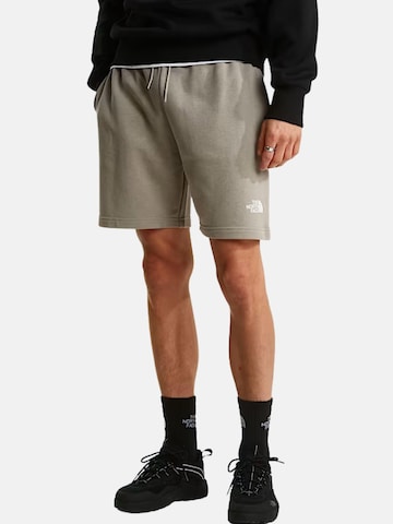 THE NORTH FACE Boxershorts 'SD LT RG' in Grijs
