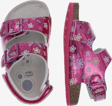 Sandales 'Flosty' CHICCO en rose