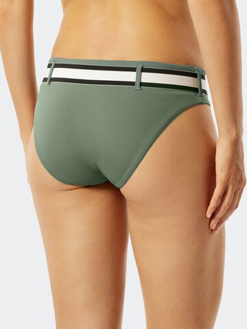 Bas de bikini 'Californian Dream' SCHIESSER en vert