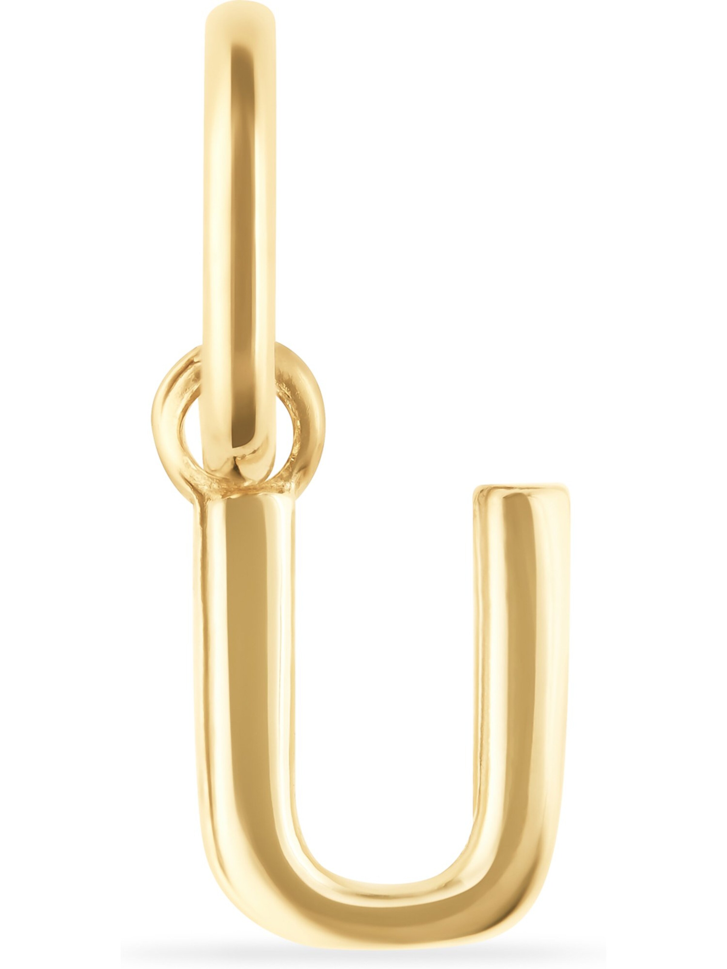 FAVS Anhänger in Gold: Vorderseite