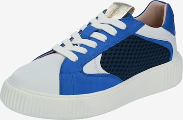 Crickit Sneakers laag 'OTIS' in Blauw: voorkant