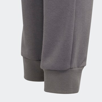 Tapered Pantaloni sportivi 'Entrada 22' di ADIDAS PERFORMANCE in grigio